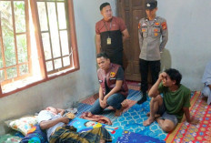Sudah Bekali-kali Warga Musi Rawas Diserang Beruang, Belum Ada yang Ditangkap 