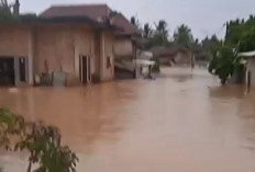 Muratara Terendam Banjir, Imbas Luapan Sungai Rupit, Warga Mengungsi 