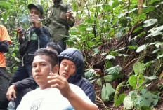 Alhamdulillah, Pendaki yang Hilang di Bukit Kaba Rejang Lebong Ditemukan, Nyaris Pingsan di Bawah Pohon