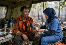 Cegah Petugas Tumbang, Ini Prosedur K3 Saat Memadamkan Kebakaran Hutan dan Lahan