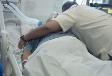 Jenazah Alex Noerdin Dibawa ke Palembang, Mantan Gubernur Sumatera Selatan Meninggal di Jakarta