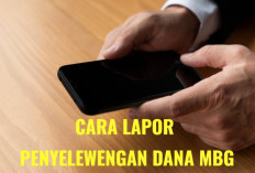Dana MBG Diselewengkan, Begini Cara dan Langkah Melaporkannya