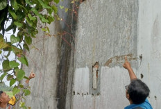 Pencuri Bobol Gudang Indomarco di Lubuk Linggau, Rokok, Minyak dan Mie Goreng Raib