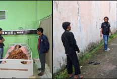 Menolak Diajak Mencuri, Juru Parkir di Lubuk Linggau Ditusuk Teman