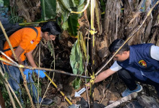 Polisi Periksa Penghuni Kontrakan di Dekat Pipa Bocor yang Sebabkan Kobaran Api di Prabumulih