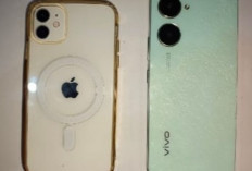 Jalan Bersama Cowok Kenalan Online, Manager Rumah Makan Sederhana Rupit Jadi Korban