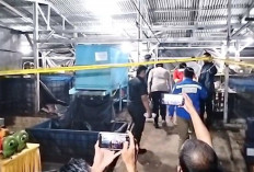 Modus Kilang Ilegal Muratara: Masak Minyak Mentah Jadi Bensin Solar