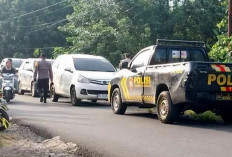 Bandar Turut Diamankan, Penggerebekan Arena Sabung Ayam di Tugumulyo Musi Rawas