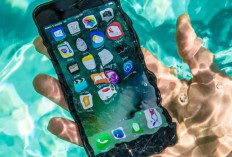 5 HP Tahan Air dan Debu dengan Harga Termurah 2026, Buruan Cek Daftarnya