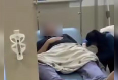  Panitia Lomba Burung SMM Goes to Bengkulu Dilaporkan Penipuan, Ketua Dikabarkan Coba Bunuh Diri