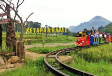 Konsisten Dorong Kemajuan Ekonomi Desa, BRI Raih Penghargaan pada Puncak Hari Desa Nasional 2026