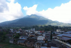 Mengenal Desa BRILian Sumowono, Desa Sayur yang Tumbuh dan Terus Berinovasi Bersama BRI 