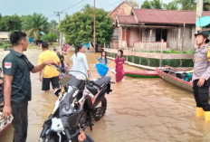 Update Banjir 13 Desa dan Kelurahan di Rawas Ilir Musi Rawas Utara, Ketinggian Air 25 Hingga 75 Centimeter