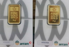 Harga Emas Batangan Kembali Naik Jumat 13 Februari 2026, Bank Indonesia Jelaskan Penyebabnya