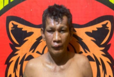 Dicabuli Ayah Kandung Sejak Kelas 3 SD Hingga 2 SMP, Seminggu Bisa 5 Kali