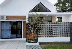 Tren 2026: Rumah Kecil Sederhana Jadi Primadona, Inilah 7 Inspirasi Desain Keren yang Banyak Diminati