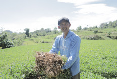 Desa BRILiaN Tompobulu: Bukti Nyata Sinergi Potensi Lokal dan Digitalisasi Dorong Pertumbuhan Ekonomi 