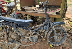 Bikin Resah Petani, Ninja Sawit di BTS Ulu Musi Rawas Diamankan