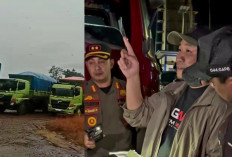 Ini Aturan Yang Dilanggar 40 Truk Batu Bara Diamankan di Lubuk Linggau