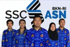 Benarkah CPNS Kemenkes 2026 Dibuka, Begini Penjelasan dari BKN