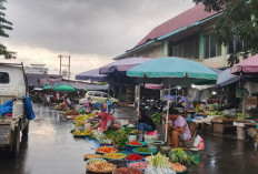 Peringatan Dini Cuaca untuk 7 Kabupaten di Sumatera Selatan: Waspada Potensi Hujan dengan Angin Kencang
