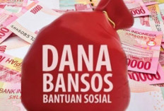 PKH Hingga Beras, Ini Daftar Bansos Cair Desember 2025 Serta Jadwalnya