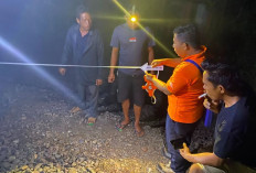 Tragedi di Perlintasan Cambai Prabumulih, Petugas Pengatur Lalu Lintas Tewas Terserempet KA Babaranjang