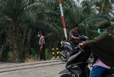 Cara Aman Menyeberangi Rel Kereta Api, Agar Tidak Menjadi Korban Tertabrak
