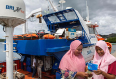 Miliki Satelit Sendiri, Layanan Perbankan BRI Mampu Jangkau Plosok Negeri dan Wilayah 3T