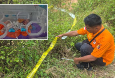 Dinsos Empat Lawang Pastikan Bayi yang Ditemukan di Semak-Semak Dapatkan Hak-haknya 