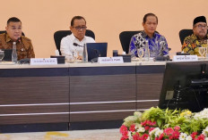 Wamen Ossy Pastikan Revisi Perpres RTR Kawasan Jabodetabek–Punjur untuk Perkuat Mitigasi Bencana