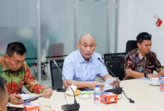 Wali Kota Lubuk Linggau Targetkan 2026 Bebas Blank Spot