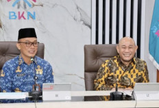 Kunker ke BKN, Wali Kota Lubuk Linggau Paparkan Strategi Manajemen Talenta ASN