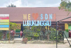 Kasus Guru PPPK SDN 8 Lubuk Linggau Berakhir Damai, Korban Tidak Jadi Pindah Sekolah