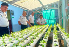 Hijau dan Produktif, Giatja Lapas Narkotika Muara Beliti Intensif Rawat Pakcoy Hidroponik