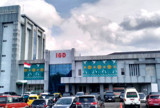 Viral Adu Argumen Keluarga Pasien dan Petugas RS dr Sobirin Musi Rawas, Soal Benda Asing Menancap di Kaki