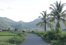 Berbasis Gotong Royong, Desa Manemeng Perkuat Ekosistem Ekonomi Kerakyatan melalui Program Desa BRILiaN