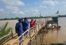 Terjun ke Sungai Hendak Benari Perahu, Pria 26 Tahun di Banyuasin Hilang Dibawa Buaya