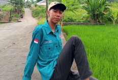 AI dalam Memengaruhi Perkembangan Kognitif Kita