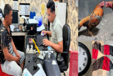 Gerebek Judi Sabung Ayam di OKU Timur, Polisi Tangkap Bandar Sediakan Lahan