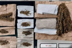 Rumah Tempat Transaksi Ganja Digrebek, Satres Narkoba Polres Lubuk Linggau Amankan 4 Tersangka