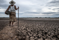Waspada El Nino Godzilla, Potensi Sebabkan Kekeringan dan Karhutla di Sumatera Selatan