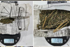 ‎Edar Ganja Saat Ramadan, 1 Tersangka Diringkus Satres Narkoba Polres Lubuk Linggau