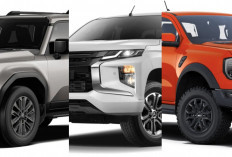 Rekomendasi 10 Mobil Tangguh ke Kebun Sawit di Musi Rawas dan Muratara, Mulai Rp300 juta Hingga Rp8 Miliar