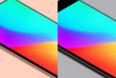 Biar Tidak Tertipu dan Dapat Barang Berkualitas, Ini 8 Tips Beli Handphone Bekas