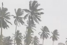 BMKG Rilis Peringatan Dini: Potensi Hujan Badai di Wilayah Berikut Pada 20 Februari 2026