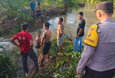 Kronologis Mobil Travel Terjun Sungai Sebabkan 2 Tewas di Jalur Musi Rawas PALI