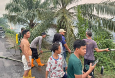 Bara Gambut Mengancam di Musi Rawas, 4 Hektare Lahan di Muara Lakitan Dilalap Api