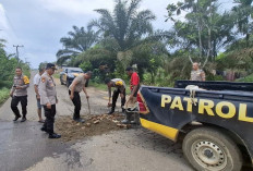 Banyak Pengendara Motor Kecelakaan, Polsek BTS Ulu Polres Musi Rawas Timbun Jalan Berlubang 