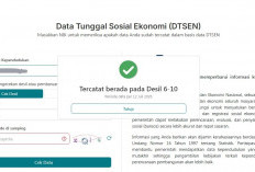 Ini Cara Cek Desil, Pahami Arti dan Fungsi Angka 1-10 yang Ditetapkan
